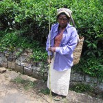 The Bitter Taste of Tea get’s special mention prize in Rome