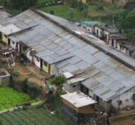 Fairtrade: Sri Lankan Estate Suspended For Three Months.
